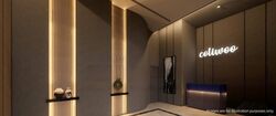 Mount Elizabeth Link (D9), Apartment #496549301